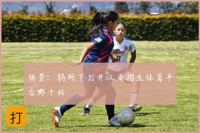 场景:弱网下打开江南招生体育平台哪个好
